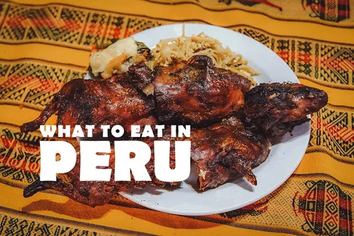 The Fusion and Adaptation of Peruvian Food Around the World: A Culinary Journey